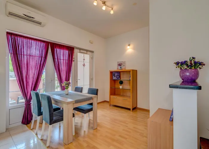 Apartment Roko